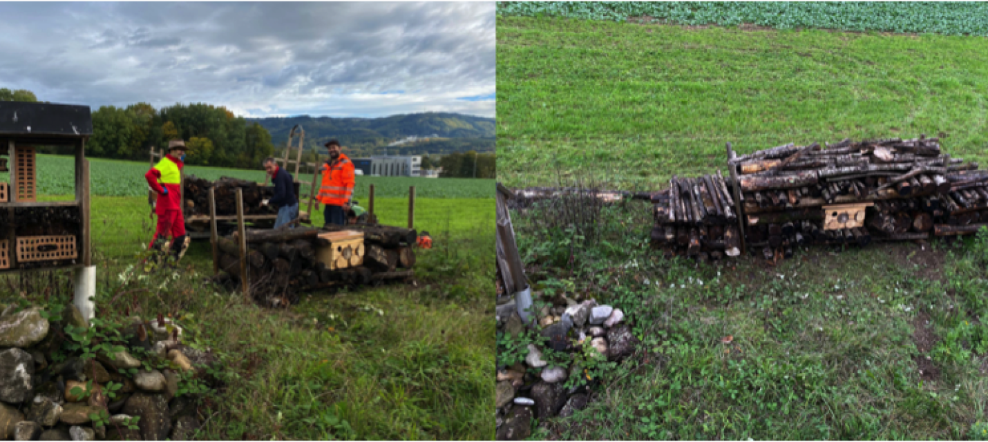 Arbeitseinsatz 15.Oktober 2022